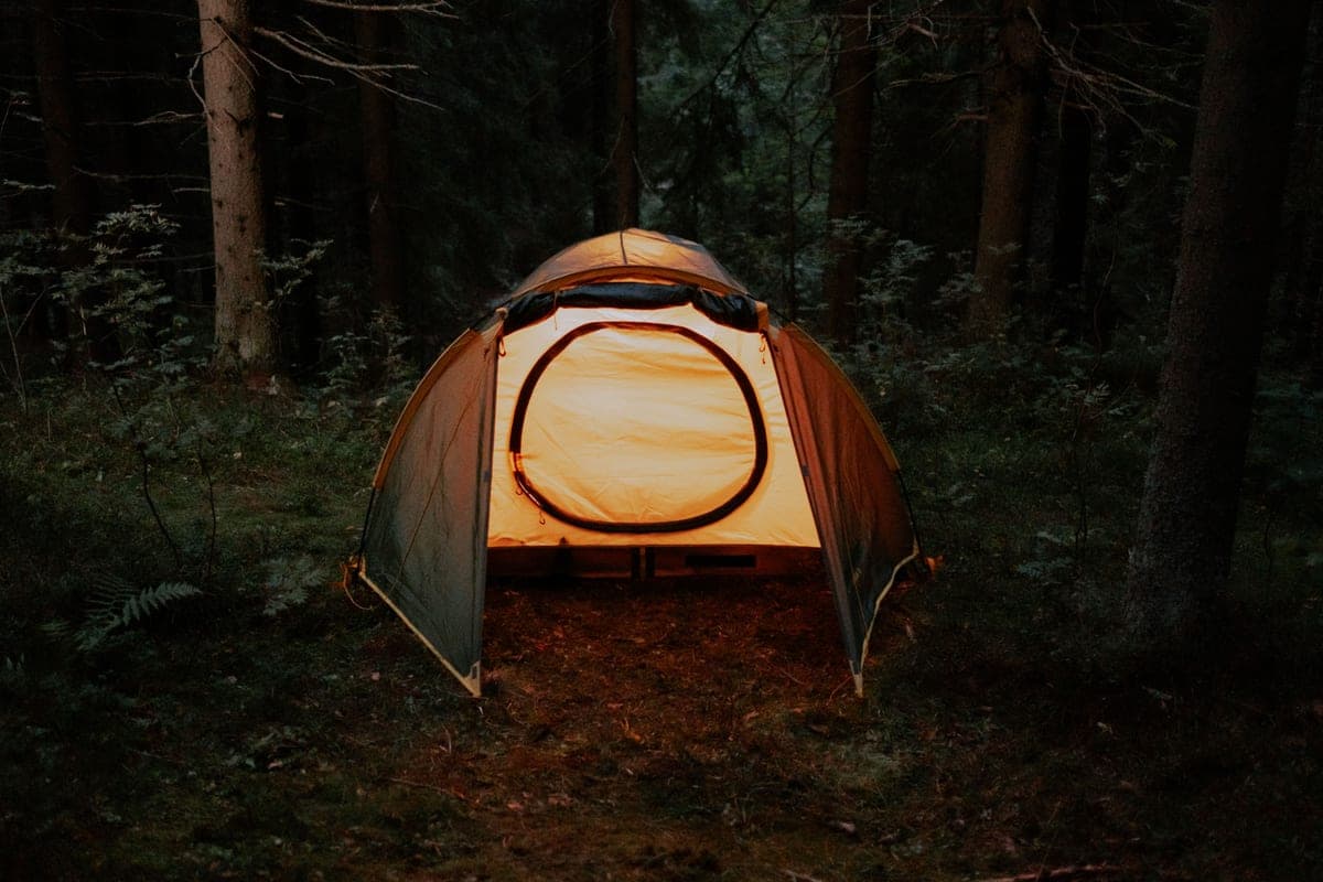 A tent glowing from within at night in a forest